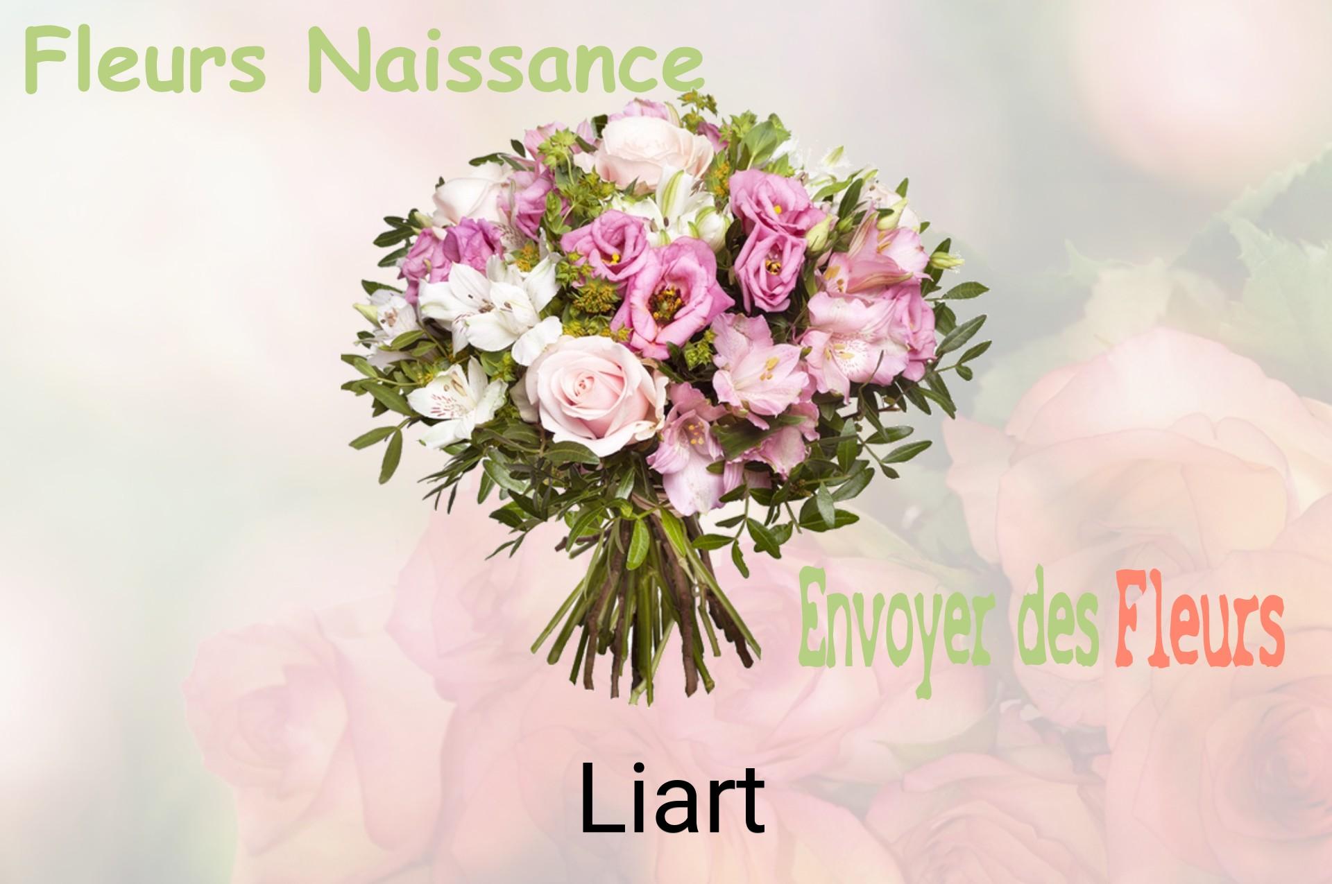 Bouquet de fleurs de naissance livré à Liart